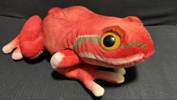 리얼 개구리 BIG 봉제 인형