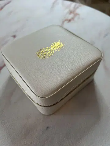 주얼리 케이스