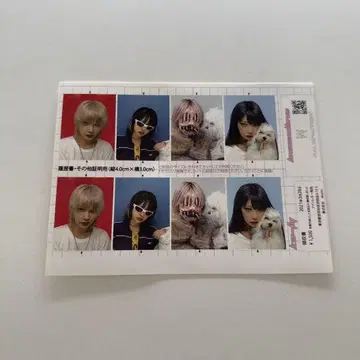 카시이 카티 증명사진풍 스티커 공식