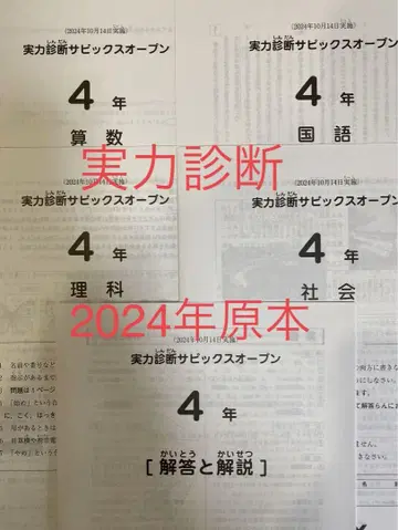 사피 4학년 실력 진단 사피 ORB 2024년 10월