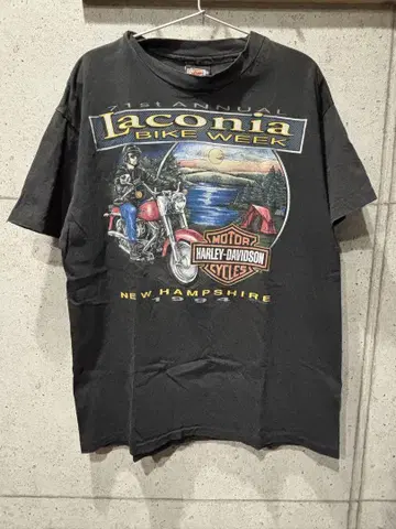Harley-Davidson L