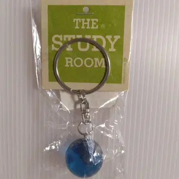 THE STUDY ROOM 지구 키링 내추럴 어스 일본 과학미래관