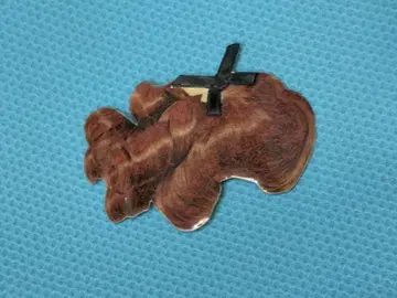 아차추무 머리핀