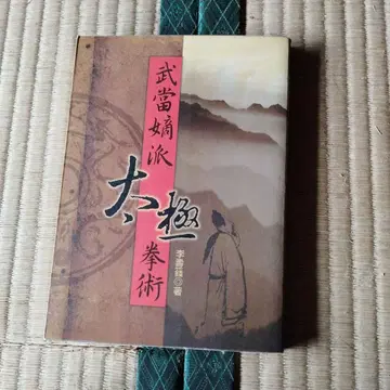 무당 적파 태극권술 이수전 저
