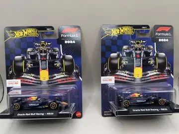 레드불 레이싱 RB01/RB11 2대
