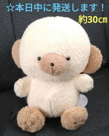 [ 라운드원 한정판 죠세마루 BIG 봉제 인형 [ 라떼 ] ]