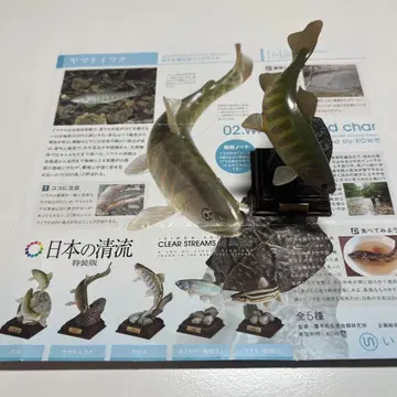 네이처 테크니컬러 일본의 청류 특장판 야마토 송어