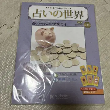 점술의 세계