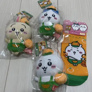 지역 한정 치이카와 시즈오카 귤