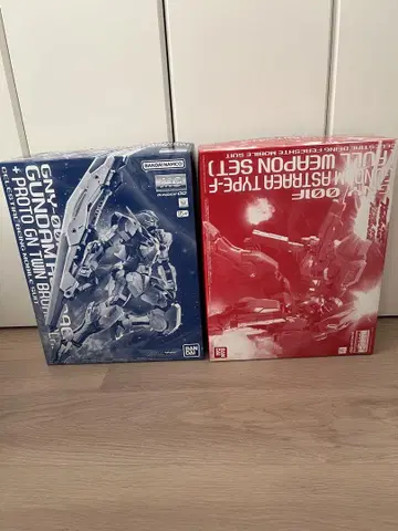 MG 건담 아스트레아 2체 세트