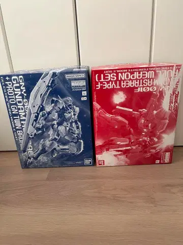 MG 건담 아스트레아 2체 세트