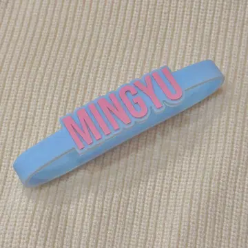 SEVENTEEN 응원봉 액세서리