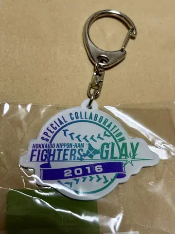 WLHS 2016 FIGHTERS x GLAY 아크릴 키링