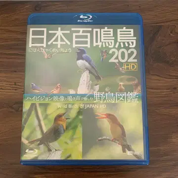일본 백명조 202 야생조 DVD