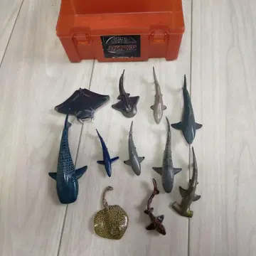 상어 피규어 11체 SHARKS OF THE WORLD