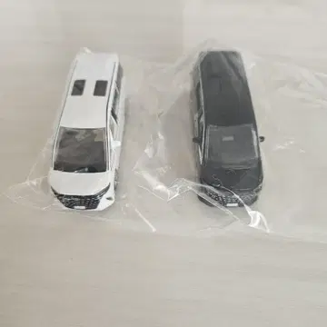 알파드 미니카
