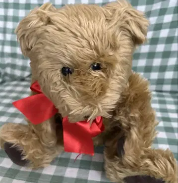 핑크하우스 테디베어