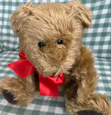 핑크하우스 테디베어