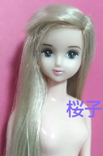 제니 프렌드 토이저러스 한정판 미스제니 사쿠라코
