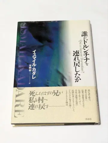 누가 돌친나를 데려왔는가