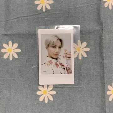 SEVENTEEN 세부치 정한 트레이딩 카드
