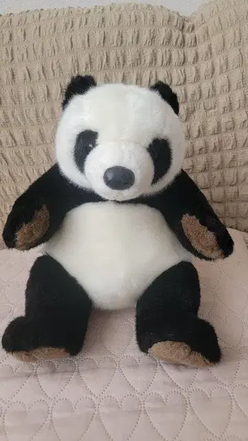 OIKE 팬더 봉제 인형