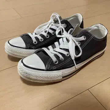 converse 24cm JP US5