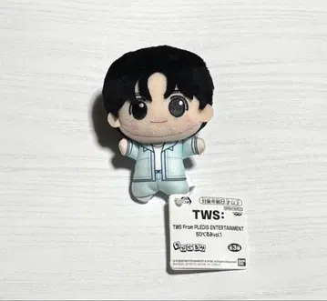 TWS SD 인형 봉제 인형 남코 한정판