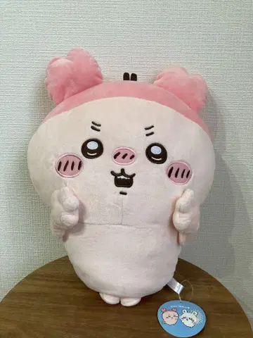치이카와 (먼작귀) 카니짱 (헌책방) BIG 봉제 인형