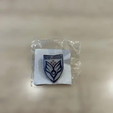 BUMP OF CHICKEN 핀 배지