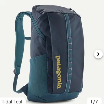 파타고니아 블랙홀 팩 25L Tidal Teal 몇 회 사용