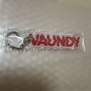 VAUNDY 빨간색 키링 미사용 미개봉 새상품