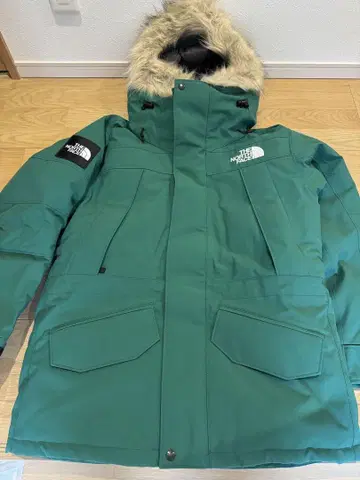 THE NORTH FACE Antarctica Parka 언터크티카