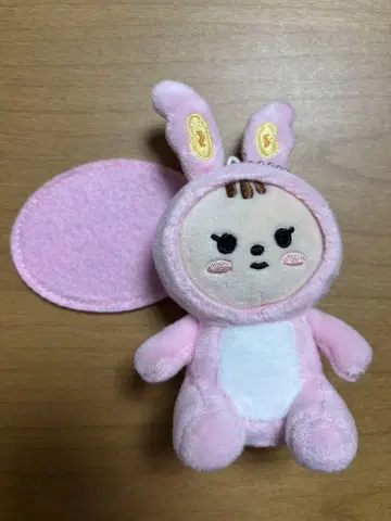 MINITEEN 정한 쵸인트람 키링