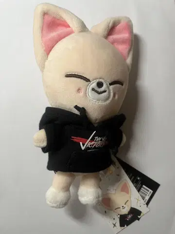 straykids THE VICTORY skzoo 폭시니 아이엔