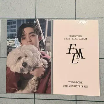 에스쿱스 FML 회장 한정판 SEVENTEEN
