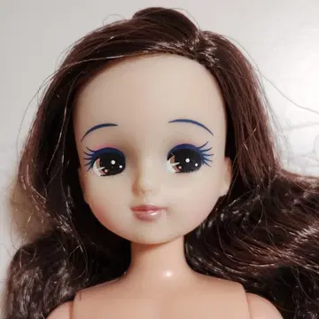 리카짱 본체