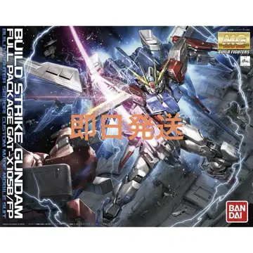 MG 1/100 빌드 스트라이크 건담 풀 패키지