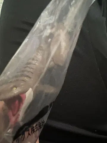 쥬라기 월드 부활의 대지 토퍼 피규어