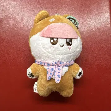 봉봉이 SEVENTEEN 강아지