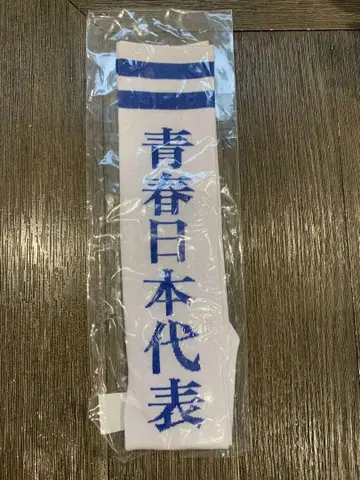 아타라시이 학교노 리더즈 청춘 일본 대표 하이삭스 L