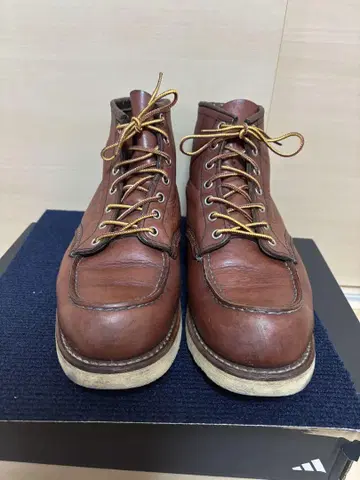 레드윙 9106 26.5D