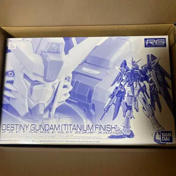 RG 1/144 데스티니 건담 [티타늄 피니쉬] 빛의 날개 세트