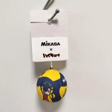 하이큐 x MIKASA 공 참 네코마 시마무라 317-1442