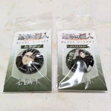 진격의 거인 유리 마그넷 리바이 페이스 업 하프 업 2개 세트