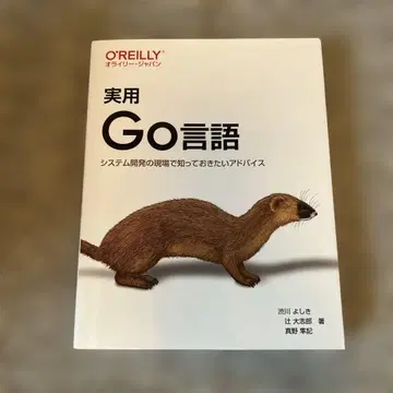 실용 Go 언어: 시스템 개발 현장에서 알아두면 좋은 조언