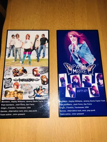 Paramore 아트 패널 2개 세트