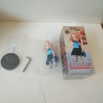KINGDOM 08 피규어
