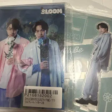 츠나 케이 에이 BLOOM 아크릴 스탠드 세트