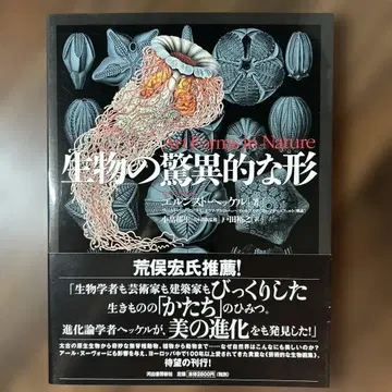 생물의 경이로운 형태